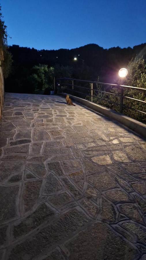 Villa Degli Ulivi Tivegna Exterior foto